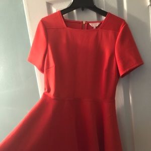 Ted Baker Dress
